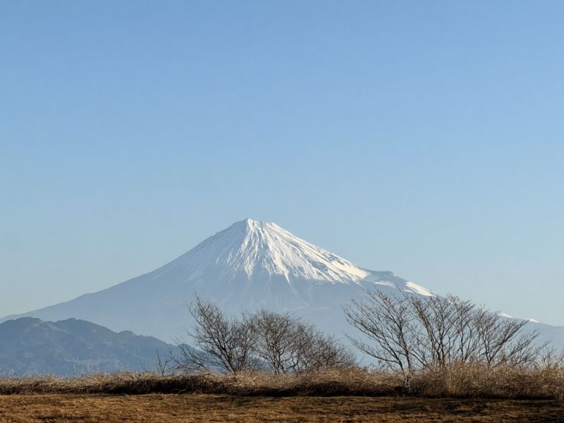 Image for the Tweet beginning: 2/14 ウォーキングゴミ拾いvol.300
@三保松原です。
※benefiteaはウォーキングゴミ拾いを応援しております📣
＃静岡市
＃三保松原 