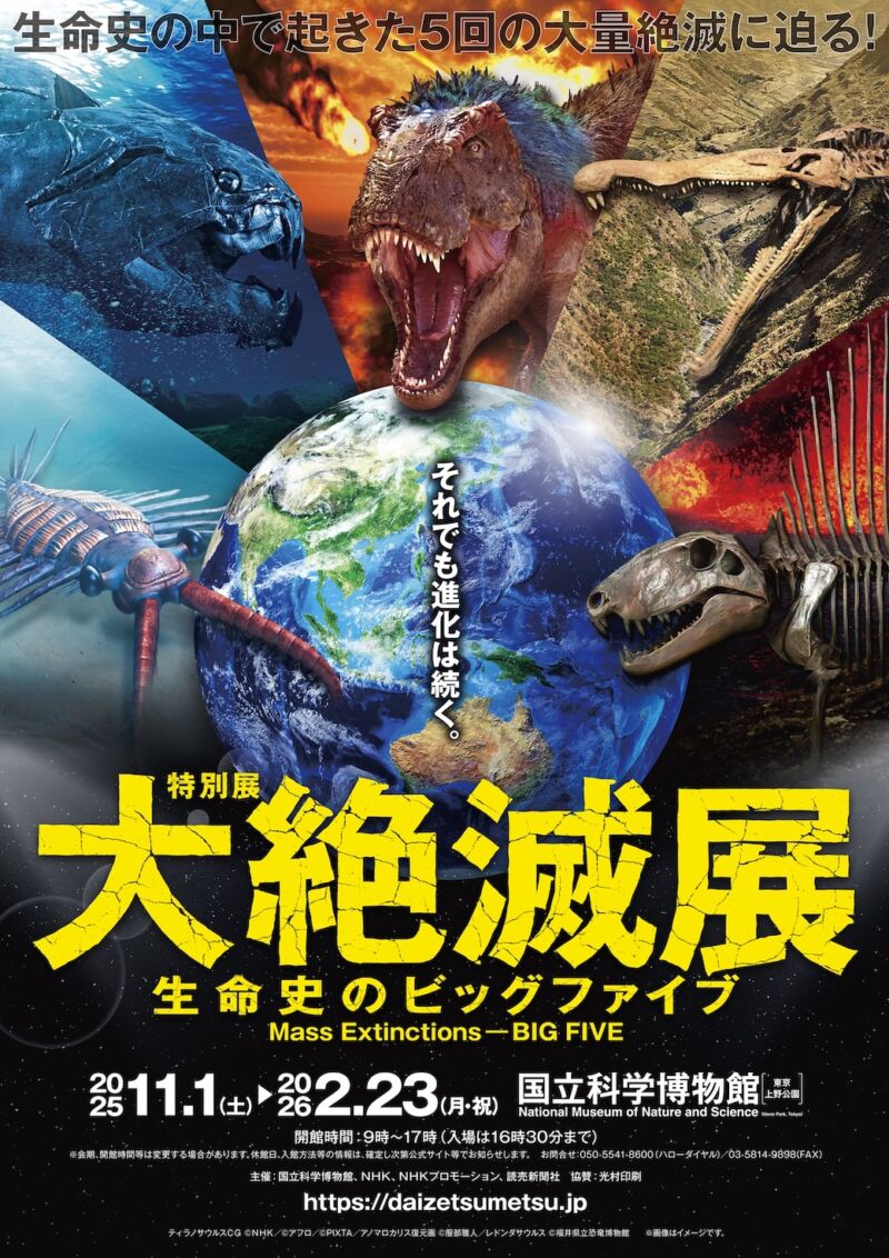 Image for the Tweet beginning: 📣残り1週間

国立科学博物館 特別展
「#大絶滅展―生命史のビッグファイブ」🌏
東京での会期は【2/23(月・祝)】まで🦖

本展では福山さんが展示映像(一部)のナレーションや音声ガイドを担当🗣️🎧

第二会場では、これまでにNHK「#ホットスポット」で福山さんが撮影した動物たちの写真27点も展示中📸 